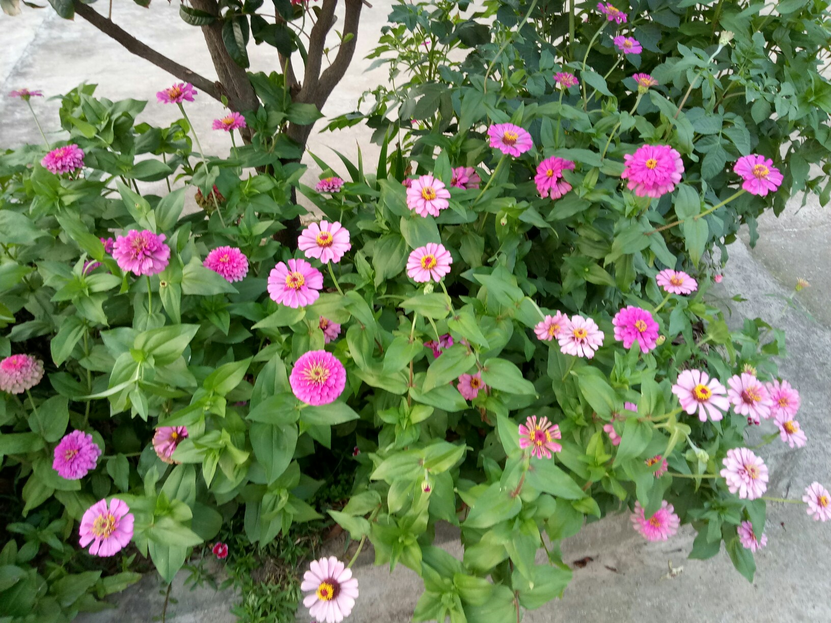 关于2?厝%?Z.?rQl	3?哉豉耋^P囁€%鉸	uU颩亘6的信息